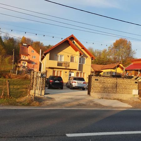 Steluta Βίλα Călimăneşti Εξωτερικό φωτογραφία