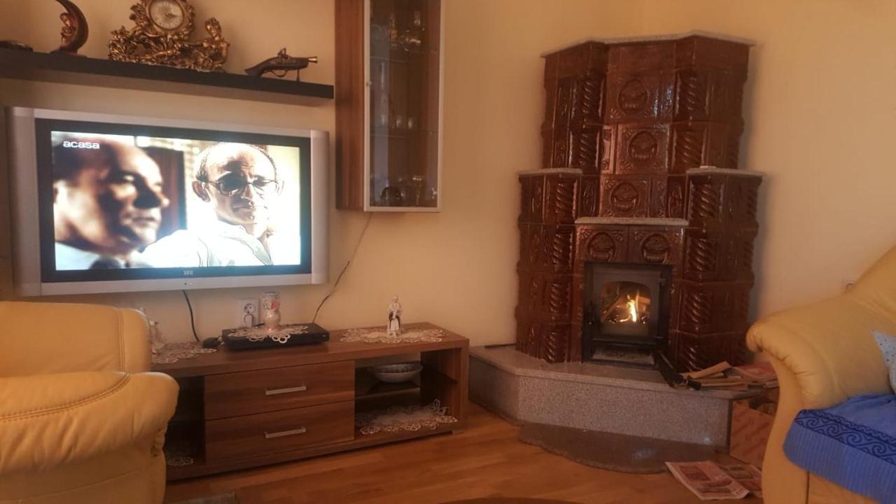 Steluta Βίλα Călimăneşti Εξωτερικό φωτογραφία