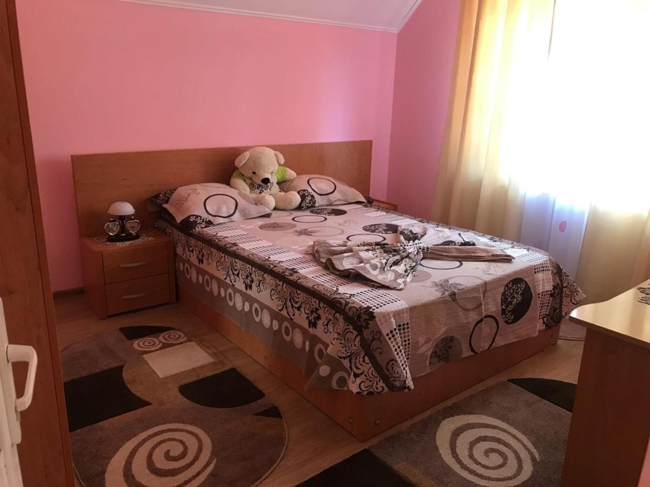 Steluta Βίλα Călimăneşti Εξωτερικό φωτογραφία