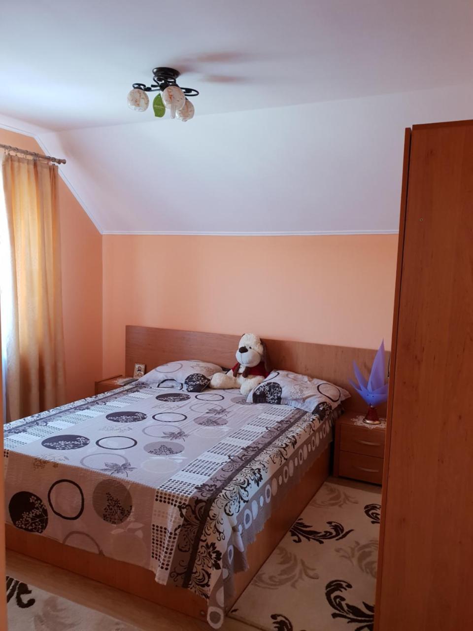 Steluta Βίλα Călimăneşti Δωμάτιο φωτογραφία