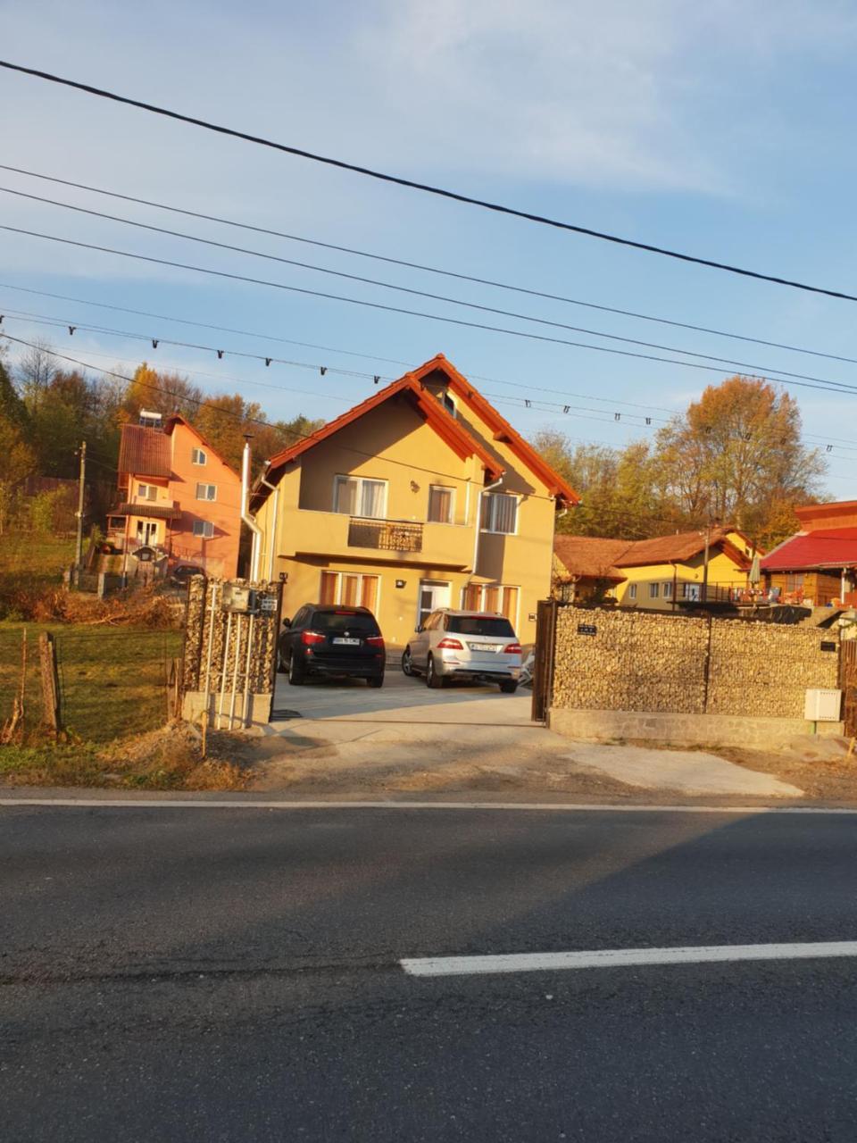 Steluta Βίλα Călimăneşti Εξωτερικό φωτογραφία