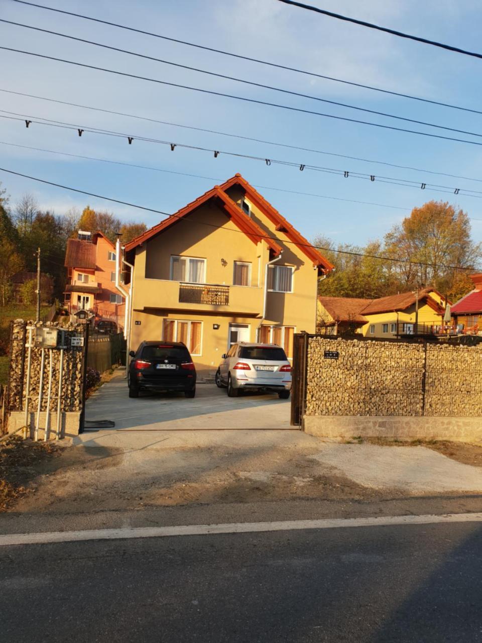 Steluta Βίλα Călimăneşti Εξωτερικό φωτογραφία
